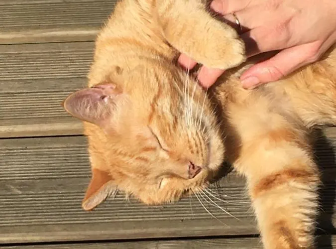 Homestay Maison De Centre-ville